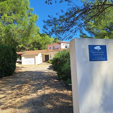 Studio D'Hotes Les Libellules Castelnau-le-Lez Luaran gambar